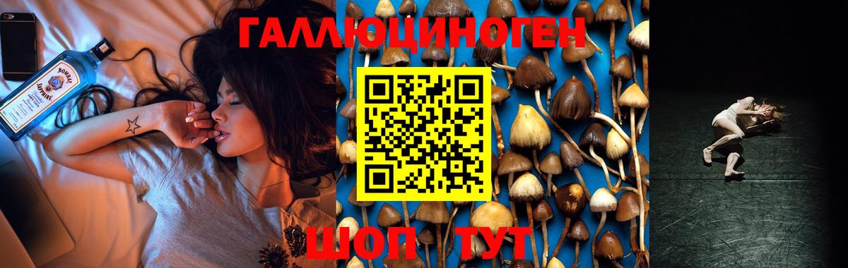 Псилоцибиновые грибы Psilocybe Азнакаево