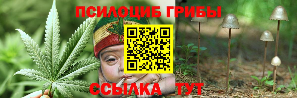 Псилоцибиновые грибы Magic Shrooms  Вход с VPN  Азнакаево 